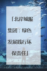 北岸城服集团：绿色发展践行环保责任