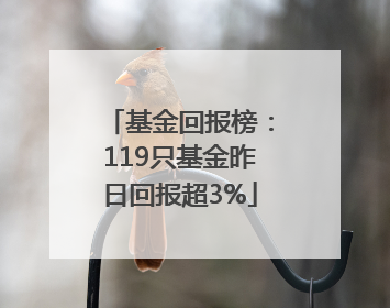 基金回报榜：119只基金昨日回报超3%