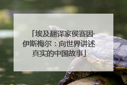 埃及翻译家侯赛因·伊斯梅尔：向世界讲述真实的中国故事