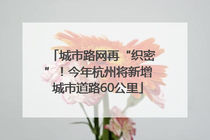 城市路网再“织密”！今年杭州将新增城市道路60公里