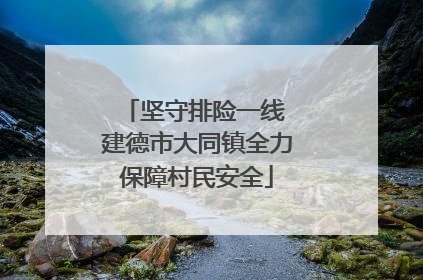 坚守排险一线 建德市大同镇全力保障村民安全