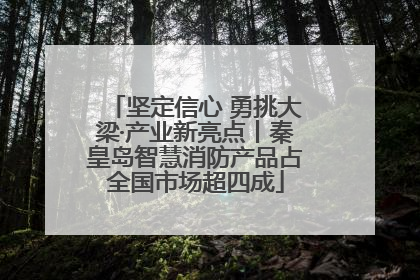 坚定信心 勇挑大梁·产业新亮点丨秦皇岛智慧消防产品占全国市场超四成