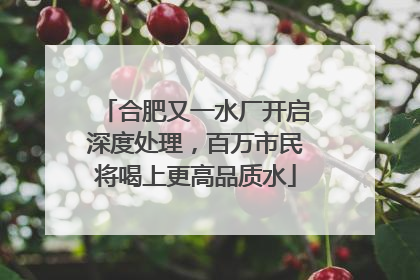 合肥又一水厂开启深度处理，百万市民将喝上更高品质水