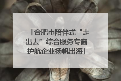 合肥市陪伴式“走出去”综合服务专窗护航企业扬帆出海