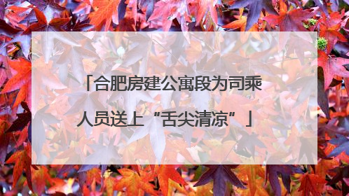 合肥房建公寓段为司乘人员送上“舌尖清凉”