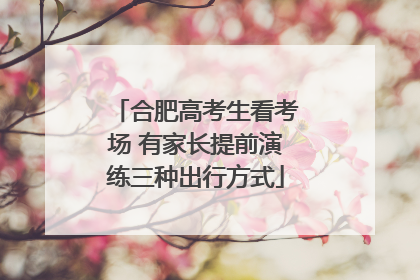 合肥高考生看考场 有家长提前演练三种出行方式