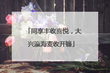 同享丰收喜悦，大兴瀛海麦收开镰