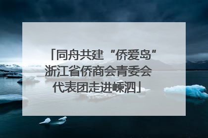 同舟共建“侨爱岛” 浙江省侨商会青委会代表团走进嵊泗