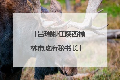 吕瑞卿任陕西榆林市政府秘书长