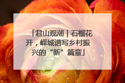 君山观潮｜石榴花开，峄城谱写乡村振兴的“新”篇章