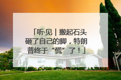 听·见｜搬起石头砸了自己的脚，特朗普终于“慌”了！