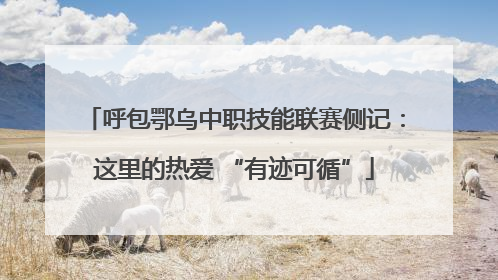 呼包鄂乌中职技能联赛侧记：这里的热爱 “有迹可循”