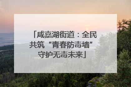 咸嘉湖街道：全民共筑“青春防毒墙” 守护无毒未来