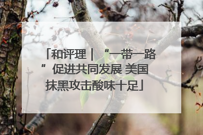 和评理｜“一带一路”促进共同发展 美国抹黑攻击酸味十足