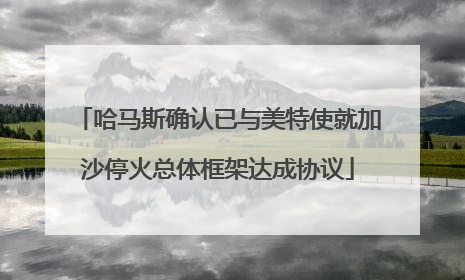 哈马斯确认已与美特使就加沙停火总体框架达成协议