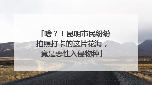 啥？！昆明市民纷纷拍照打卡的这片花海，竟是恶性入侵物种