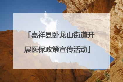 嘉祥县卧龙山街道开展医保政策宣传活动