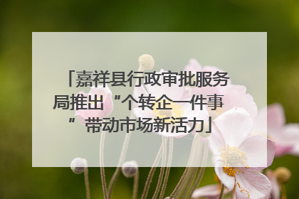 嘉祥县行政审批服务局推出“个转企一件事”带动市场新活力