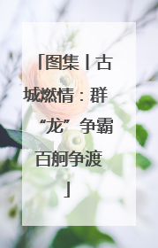 图集丨古城燃情：群“龙”争霸 百舸争渡