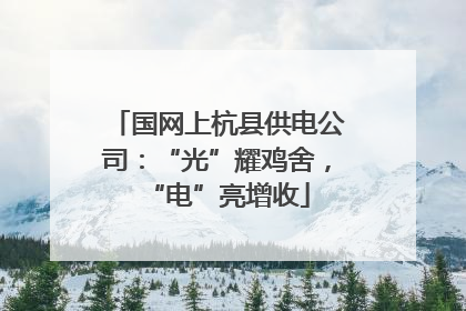 国网上杭县供电公司：“光”耀鸡舍，“电”亮增收