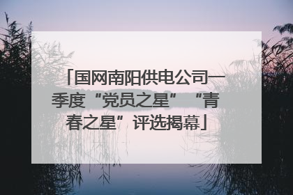 国网南阳供电公司一季度“党员之星”“青春之星”评选揭幕