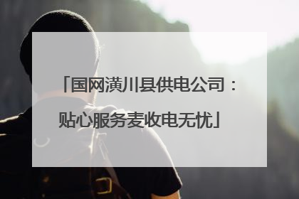 国网潢川县供电公司：贴心服务麦收电无忧