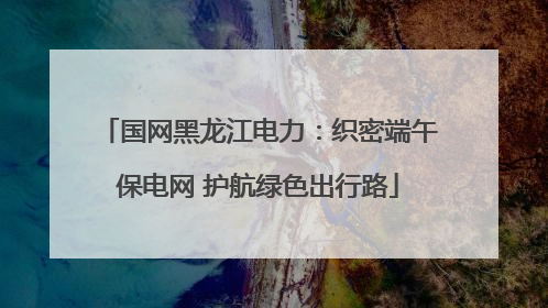 国网黑龙江电力：织密端午保电网 护航绿色出行路