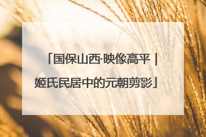国保山西·映像高平｜姬氏民居中的元朝剪影