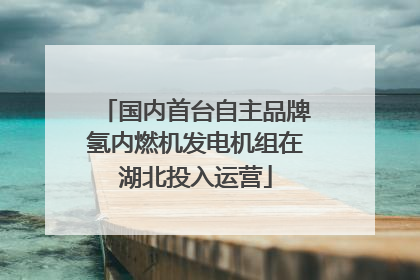 国内首台自主品牌氢内燃机发电机组在湖北投入运营