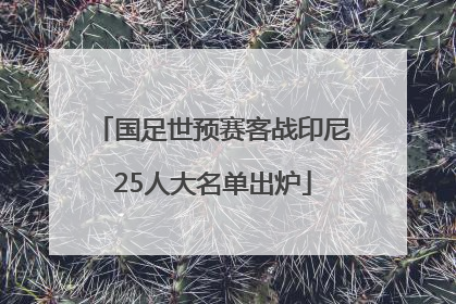国足世预赛客战印尼25人大名单出炉