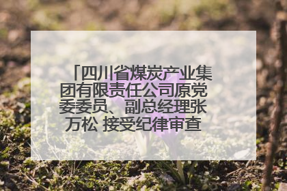 四川省煤炭产业集团有限责任公司原党委委员、副总经理张万松 接受纪律审查和监察调查