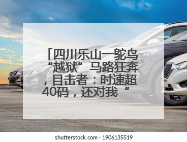 四川乐山一鸵鸟“越狱”马路狂奔，目击者：时速超40码，还对我“笑”了下