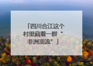 四川合江这个村里藏着一群“非洲顶流”