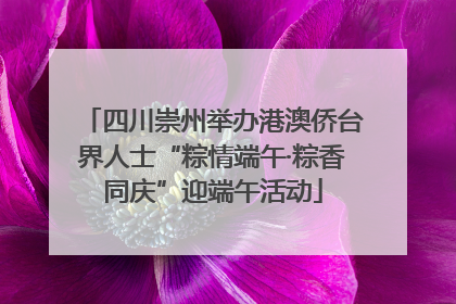 四川崇州举办港澳侨台界人士“粽情端午·粽香同庆”迎端午活动