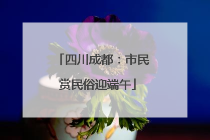 四川成都：市民赏民俗迎端午