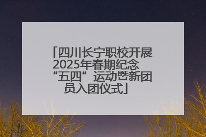 四川长宁职校开展2025年春期纪念“五四”运动暨新团员入团仪式