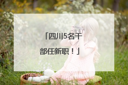 四川5名干部任新职！