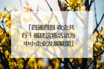 四通四到 政企共行！福建这场活动为中小企业发展赋能
