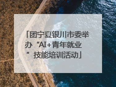 团宁夏银川市委举办“AI+青年就业”技能培训活动