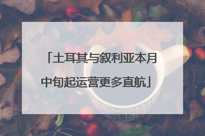 土耳其与叙利亚本月中旬起运营更多直航
