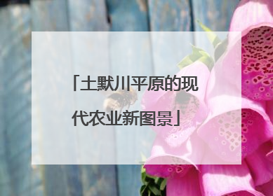 土默川平原的现代农业新图景