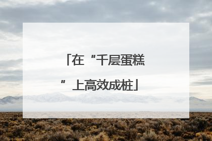 在“千层蛋糕”上高效成桩