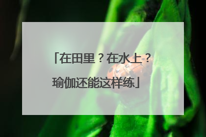 在田里？在水上？瑜伽还能这样练