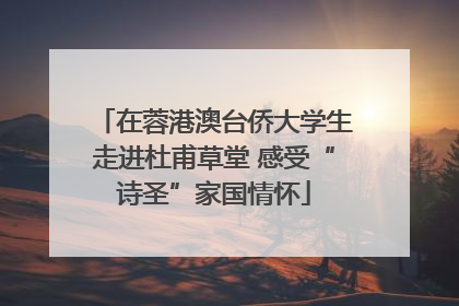 在蓉港澳台侨大学生走进杜甫草堂 感受“诗圣”家国情怀