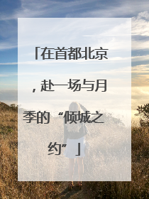 在首都北京，赴一场与月季的“倾城之约”