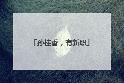 孙桂香，有新职