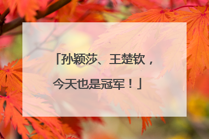 孙颖莎、王楚钦，今天也是冠军！