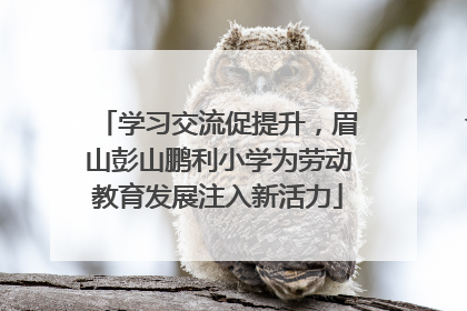 学习交流促提升，眉山彭山鹏利小学为劳动教育发展注入新活力