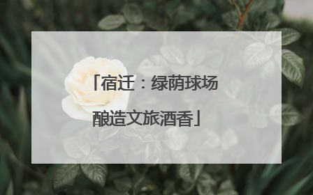 宿迁：绿荫球场酿造文旅酒香
