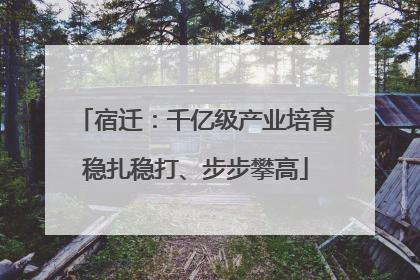 宿迁：千亿级产业培育稳扎稳打、步步攀高